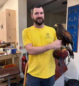 Leather craft, bird of prey, Harris Hawk